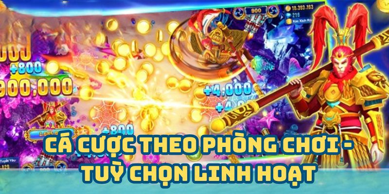 Cá cược theo phòng chơi - Tùy chọn linh hoạt