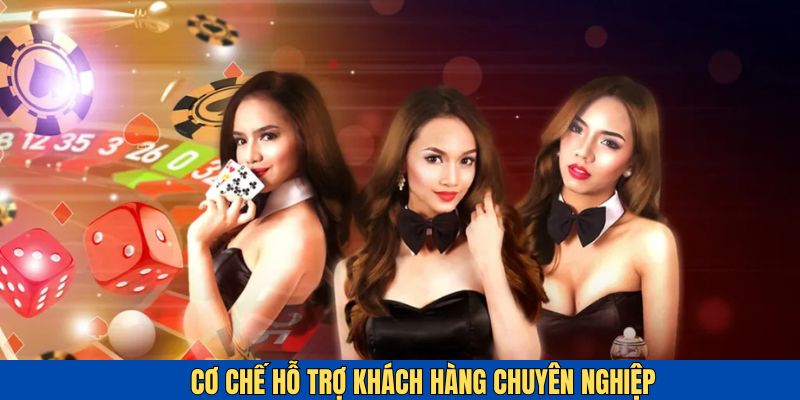 Cơ chế hỗ trợ khách hàng chuyên nghiệp được đánh giá cao tại BWING
