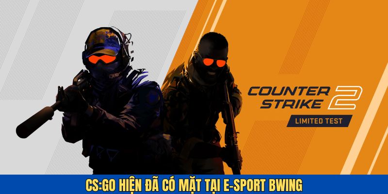 CS:GO là game bắn súng ăn khách với những giải đấu quy mô lớn