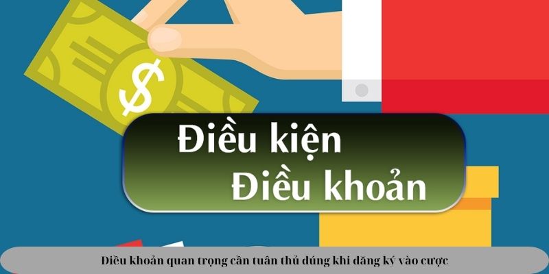 Điều khoản quan trọng cần tuân thủ đúng khi đăng ký vào cược