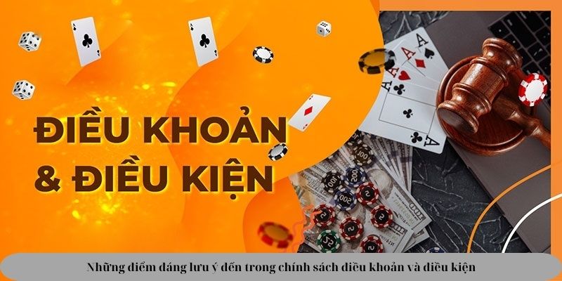 Những điểm đáng lưu ý đến trong chính sách điều khoản và điều kiện